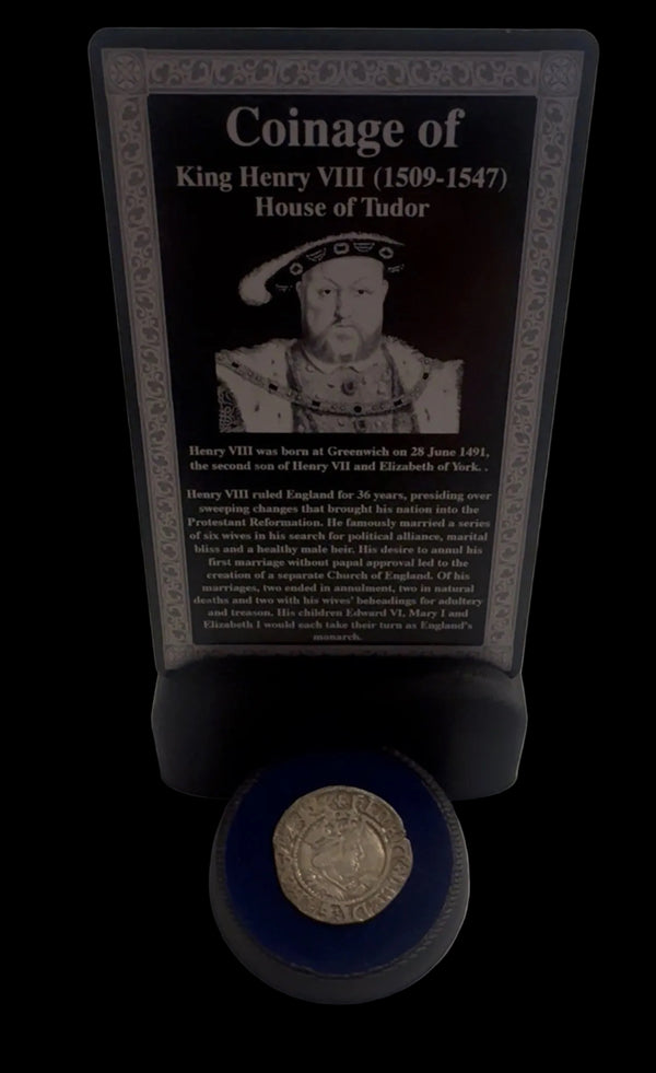 Coin ID card Display