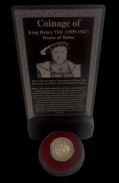 Coin ID card Display